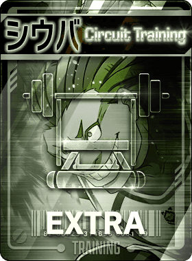 Special Training -Dada Silva-