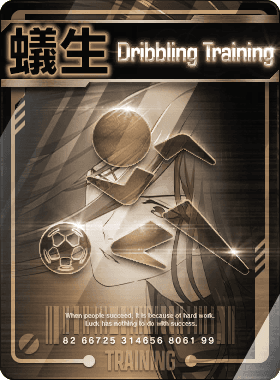 Special Training -Jyubei Aryu-
