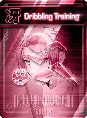 Special Training -I Was Just Born in the Wrong Country-