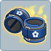 Ankle Weights