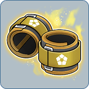Ankle Weights GOLD